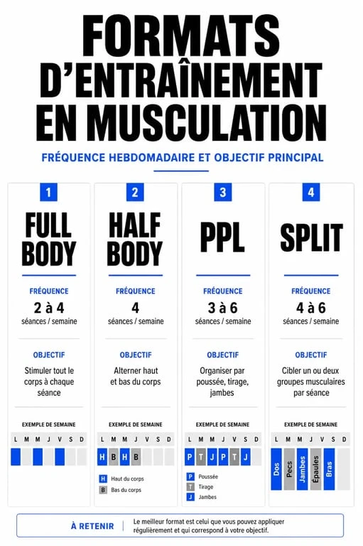 Infographie comparative des programmes de musculation : Full Body, Half Body, PPL et Split pour choisir son entraînement