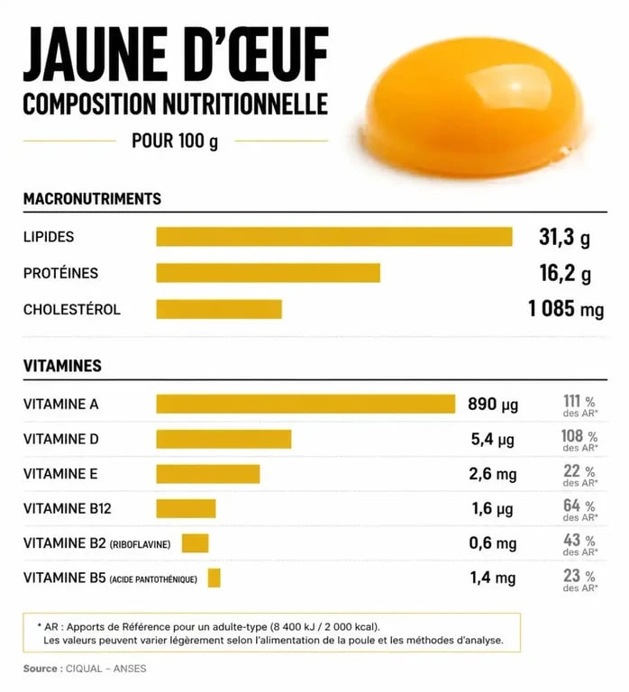 Composition nutritionnelle du jaune d'œuf : calories, lipides, protéines et vitamines