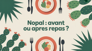 illustration nopal avant ou apres le repas table cactus